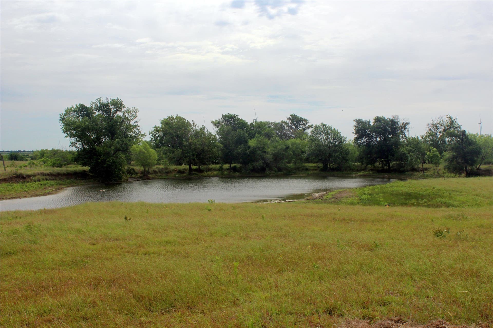 202.35 acres in Navarro County - photo 30