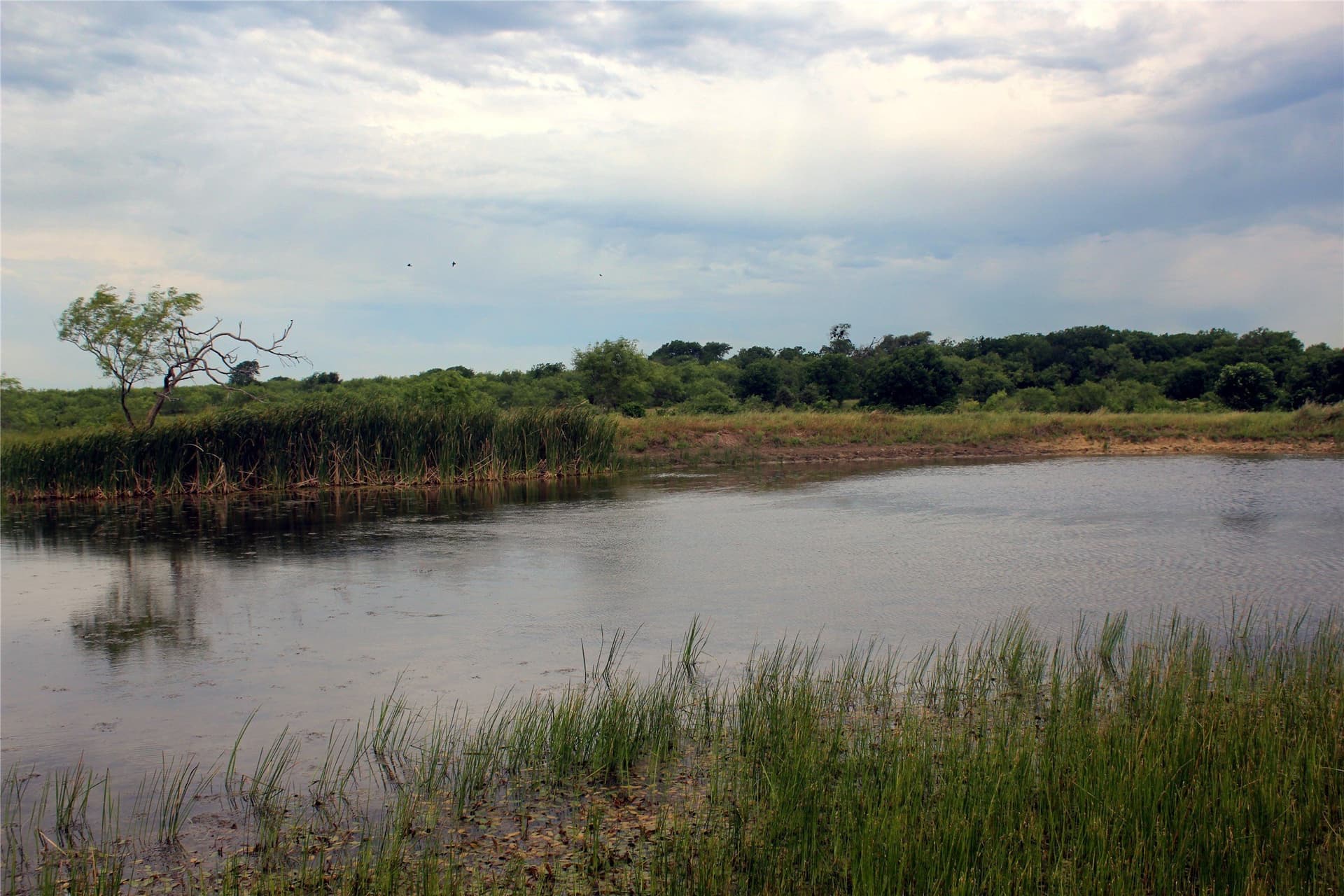 202.35 acres in Navarro County - photo 6
