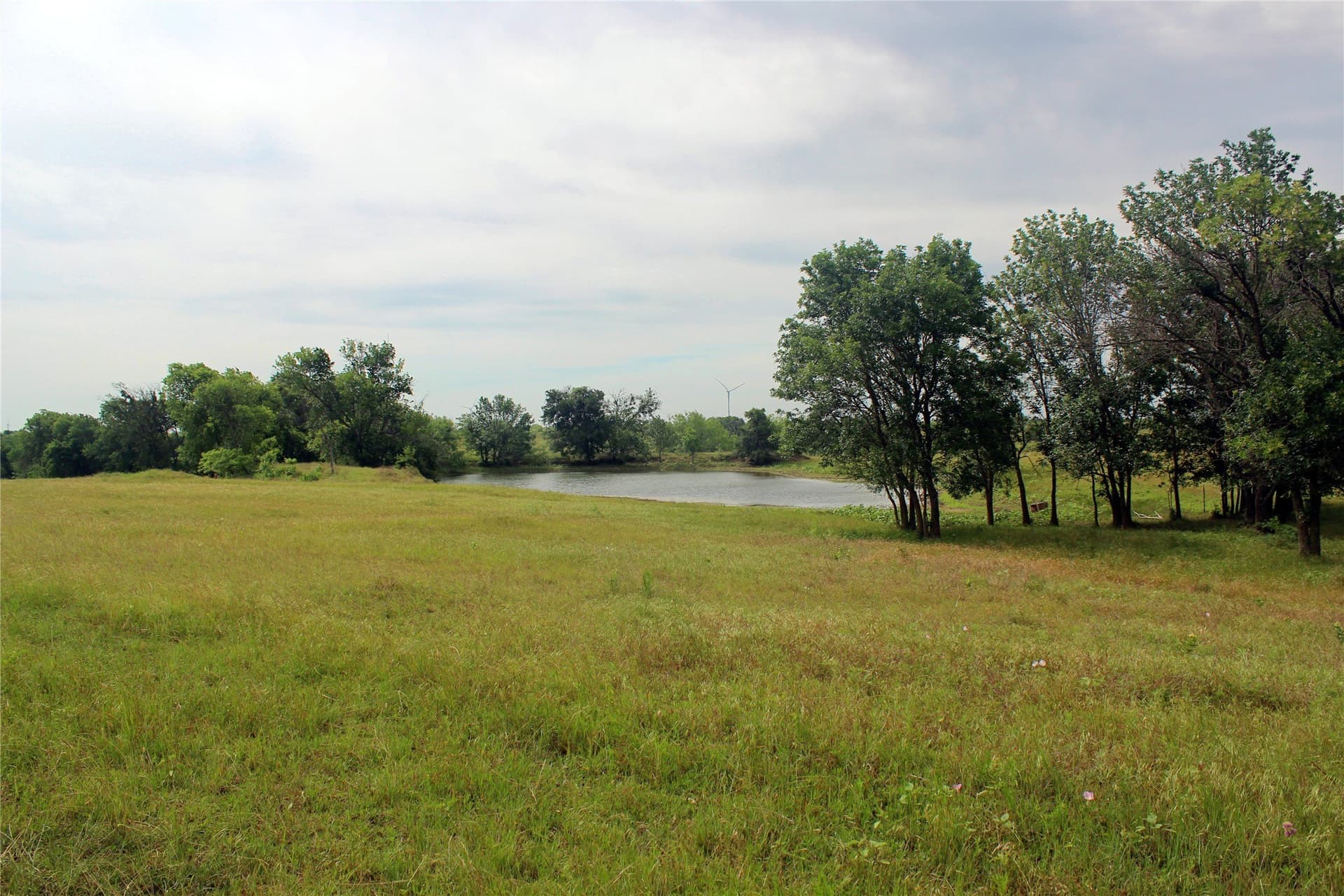 202.35 acres in Navarro County - photo 17