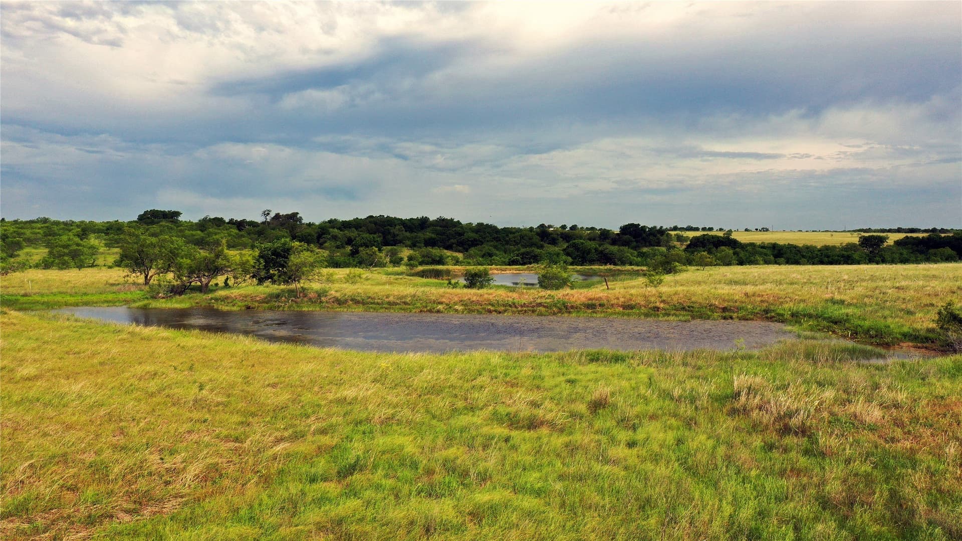 202.35 acres in Navarro County gallery image 4