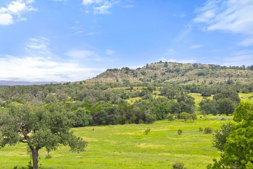 86 acres in Gillespie County gallery image 2