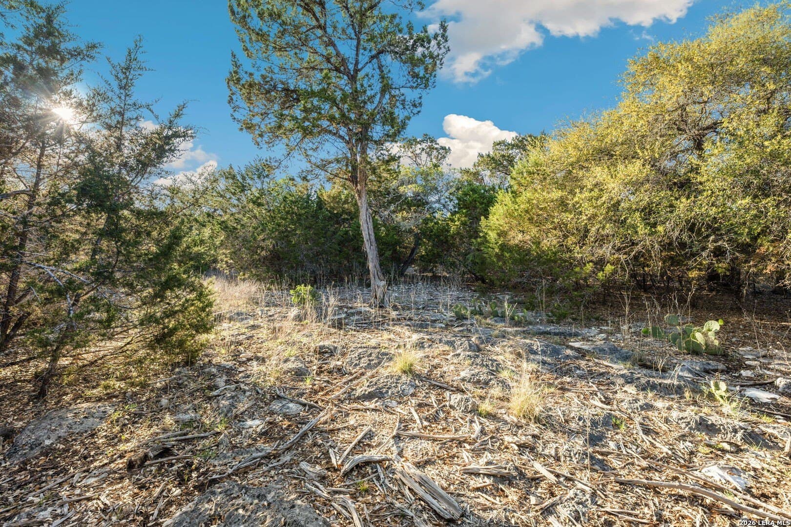 2.49 acres in Kendall County - photo 7