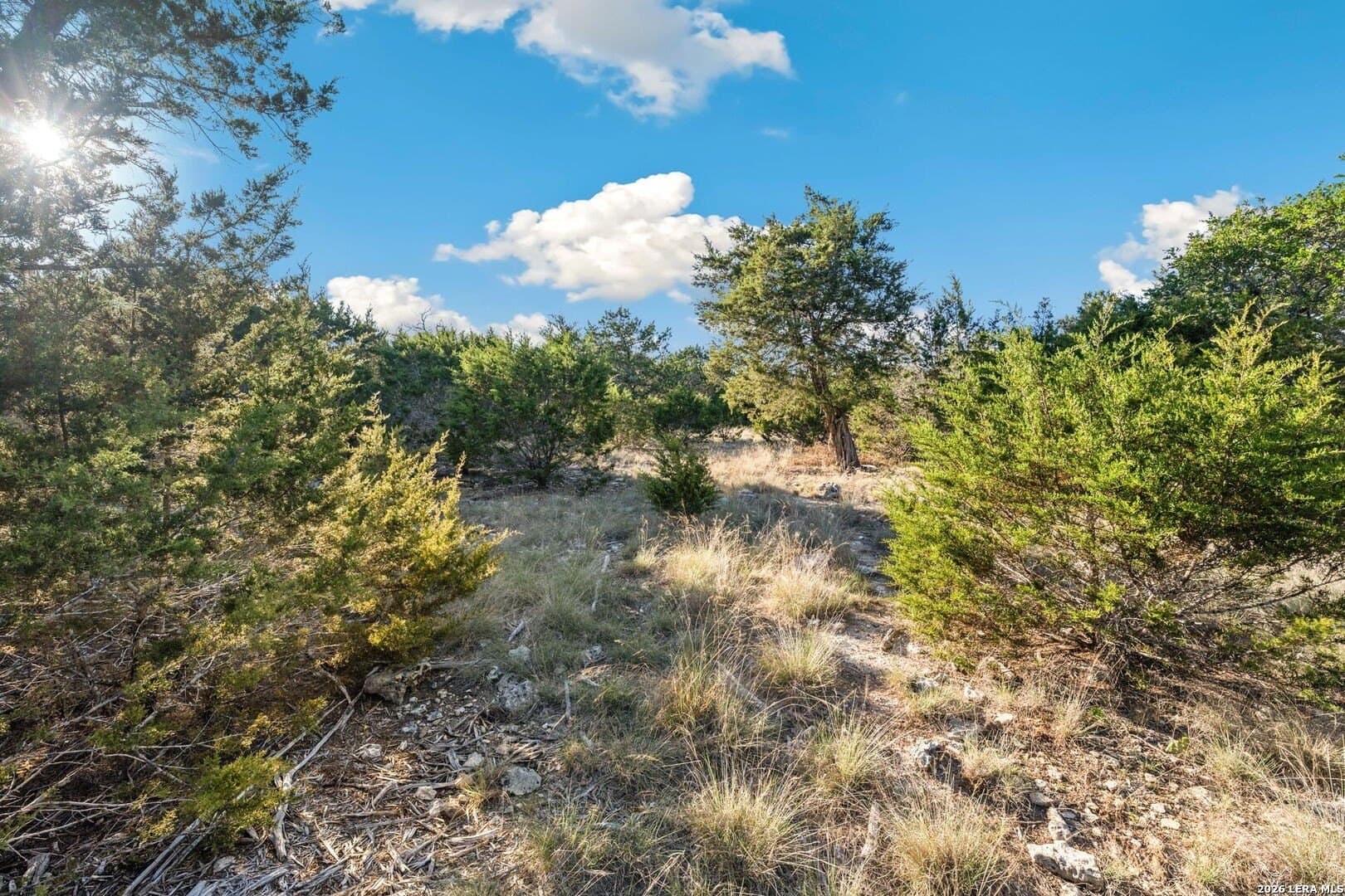 2.49 acres in Kendall County gallery image 3