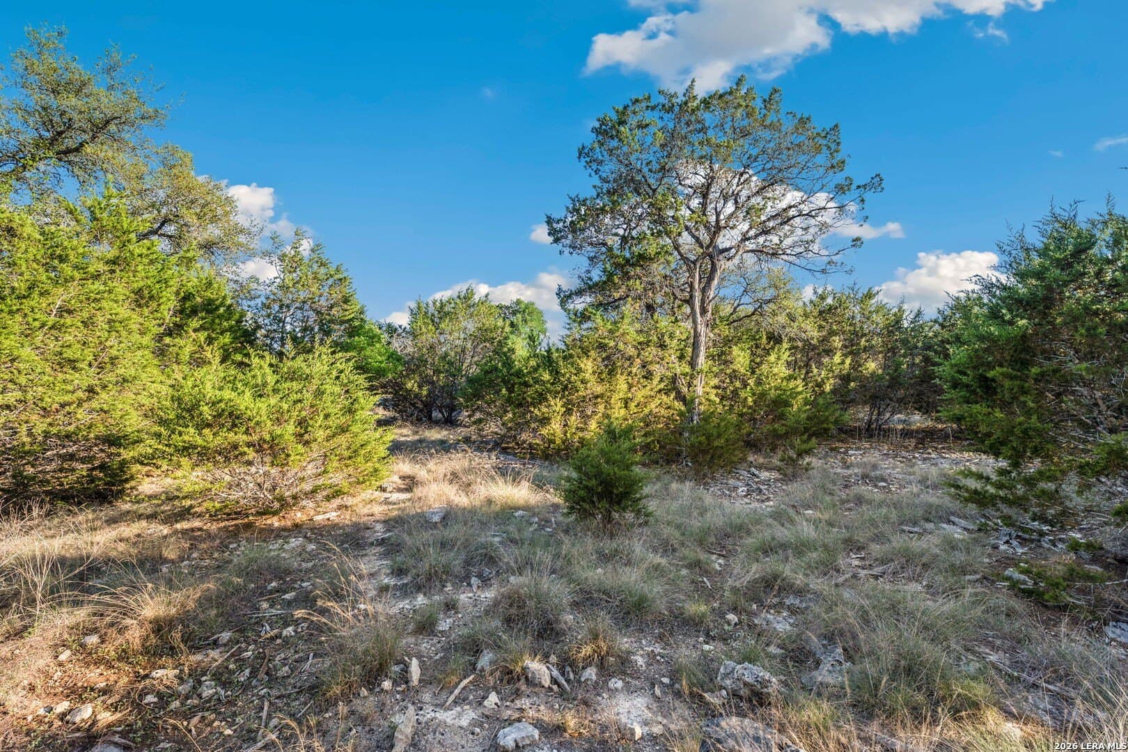 2.49 acres in Kendall County - photo 11