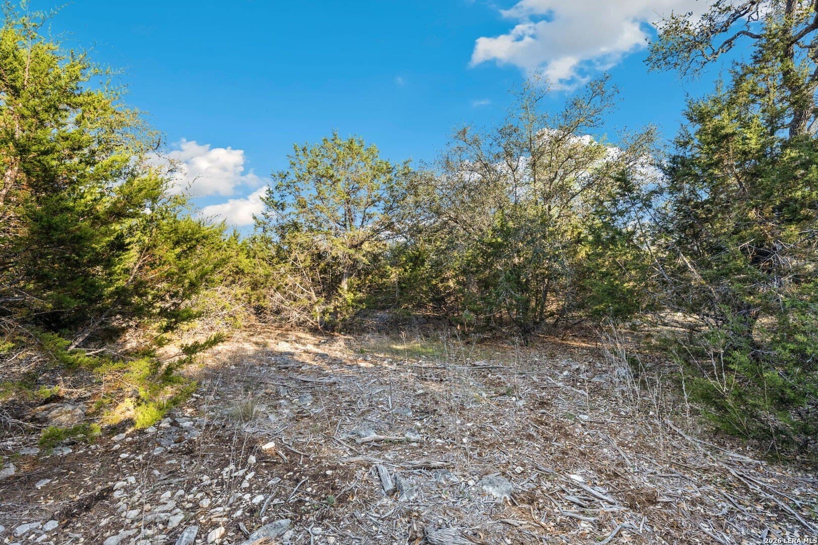 2.49 acres in Kendall County - photo 8