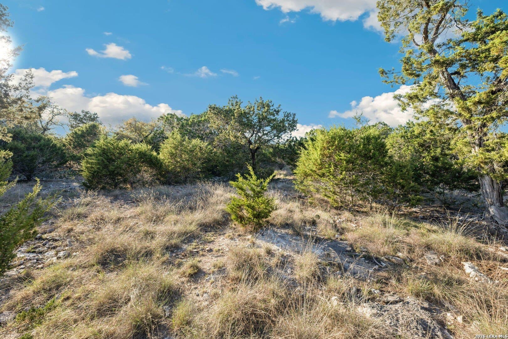 2.49 acres in Kendall County - photo 12