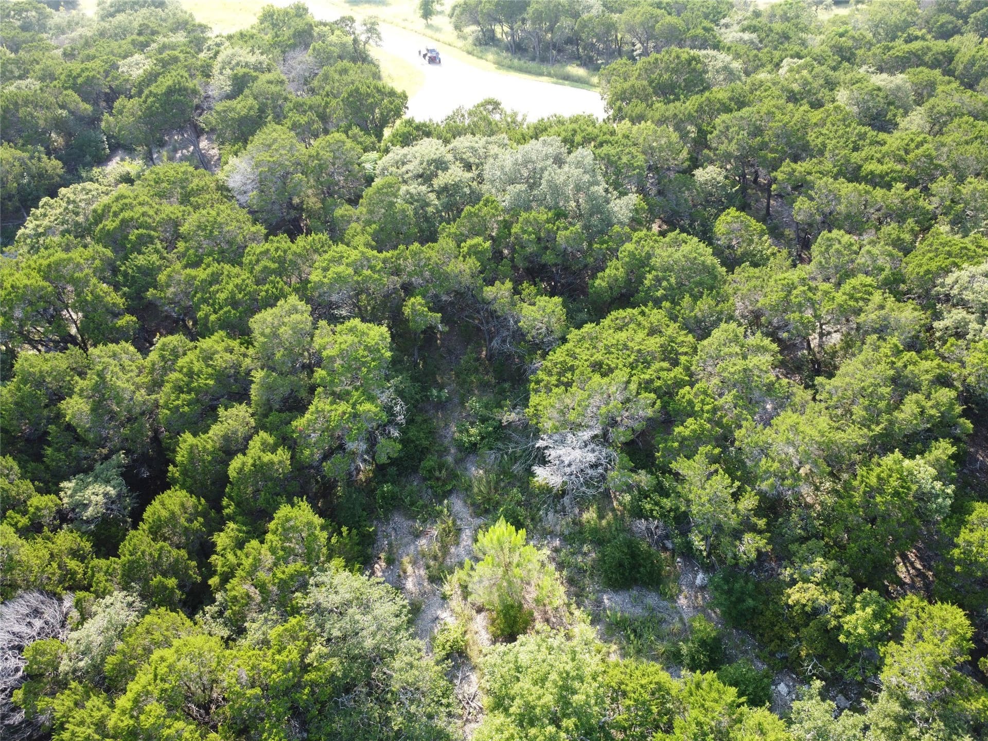 0.21 acres in Johnson County gallery image 4