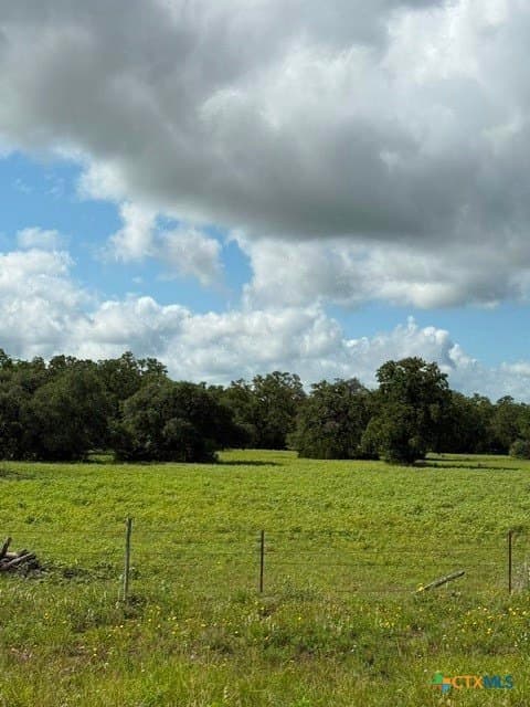 74.83 acres in Lavaca County gallery image 3