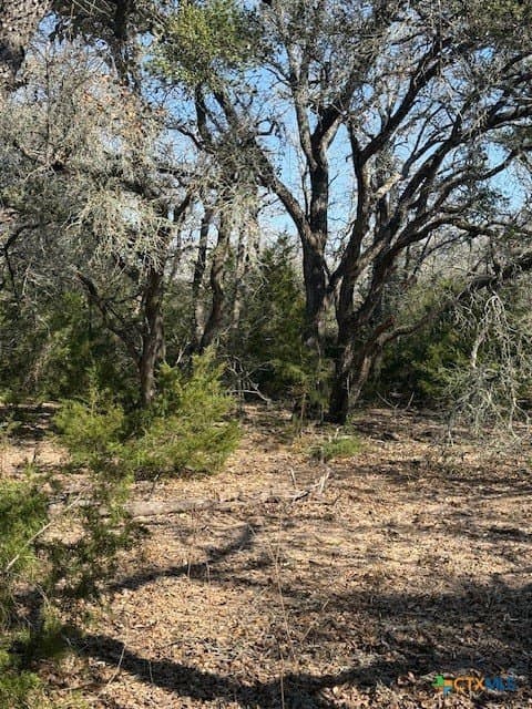 74.83 acres in Lavaca County - photo 7