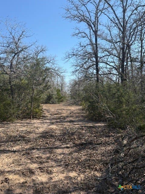 74.83 acres in Lavaca County - photo 8