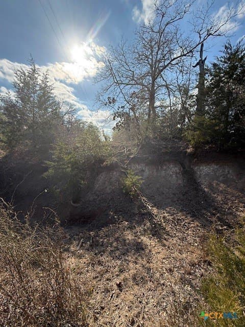 74.83 acres in Lavaca County - photo 12