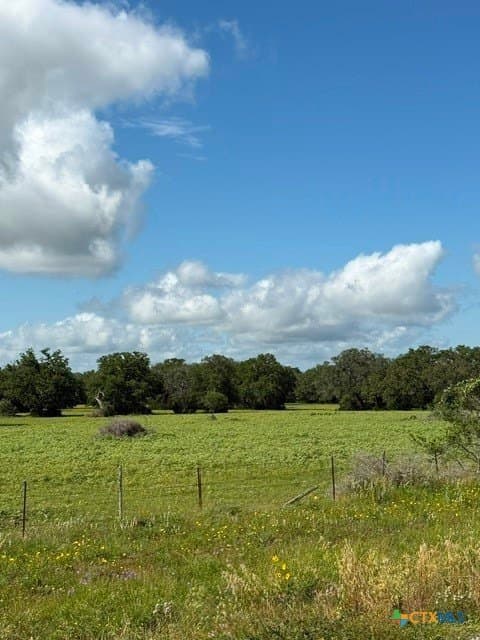 74.83 acres in Lavaca County gallery image 4