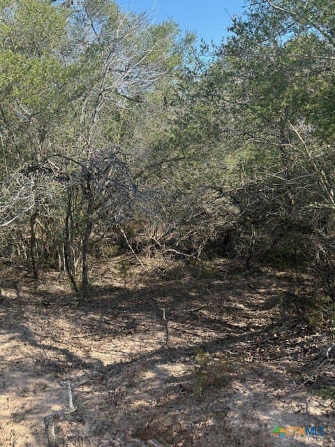 74.83 acres in Lavaca County - photo 9