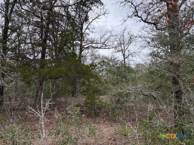 74.83 acres in Lavaca County featured view