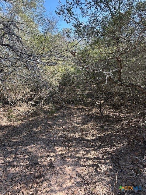 74.83 acres in Lavaca County - photo 10