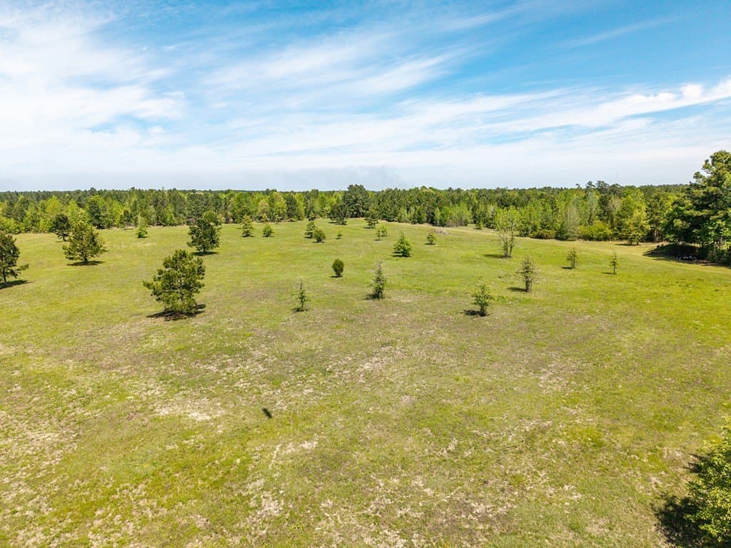 64.19 acres in Texas County - photo 6