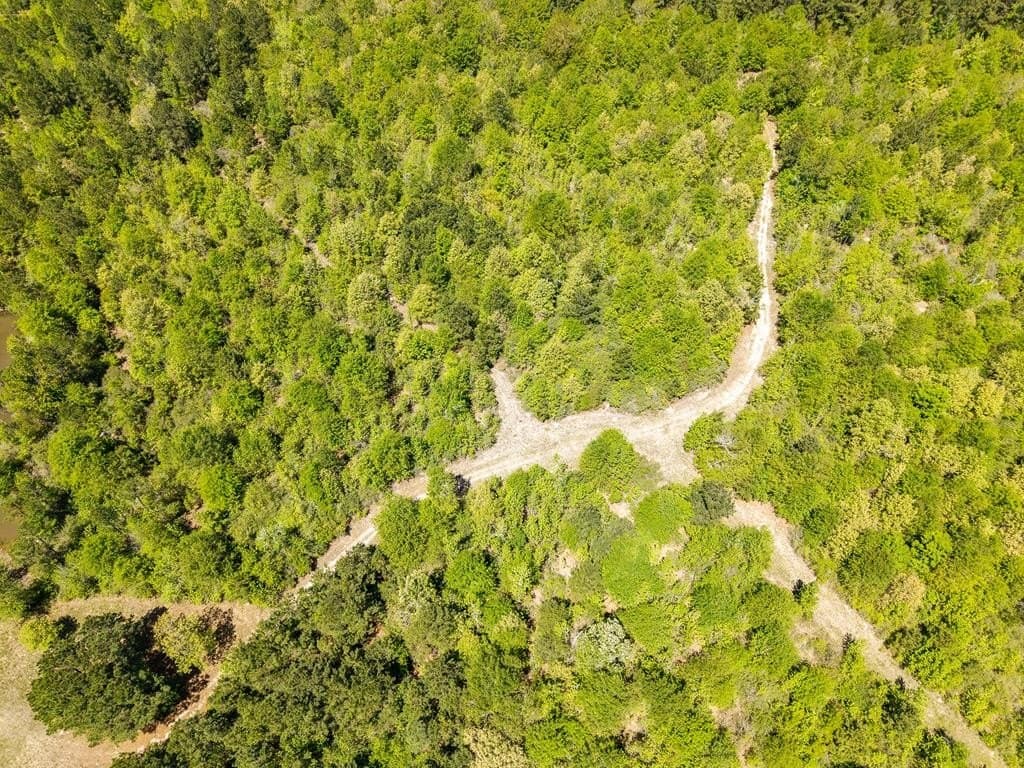 64.19 acres in Texas County - photo 16