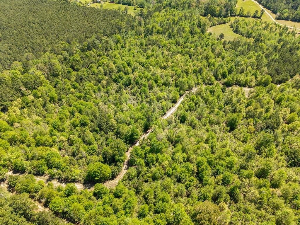 64.19 acres in Texas County - photo 17