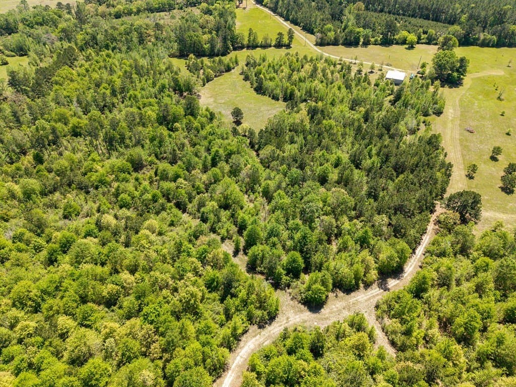 64.19 acres in Texas County - photo 9