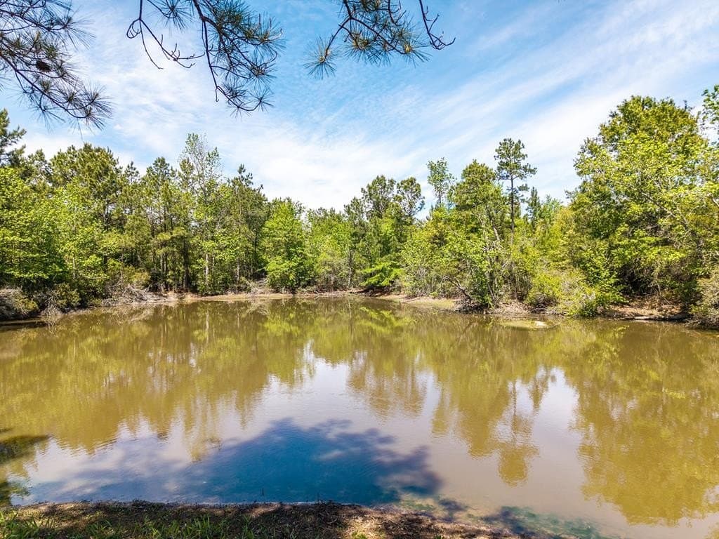 64.19 acres in Texas County - photo 13