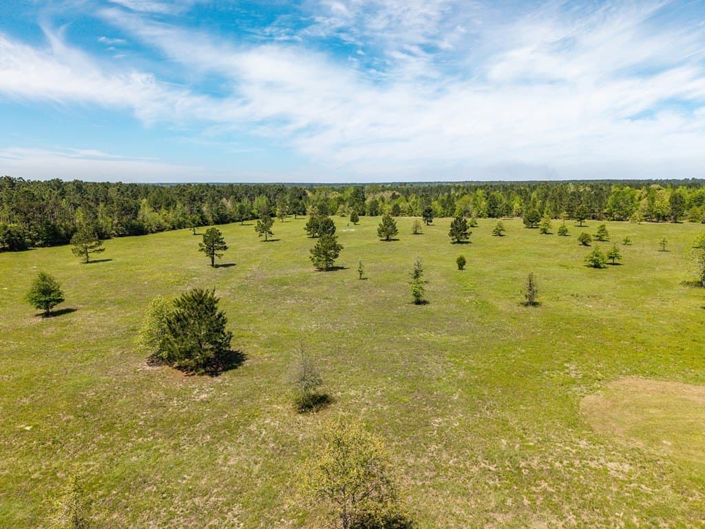 64.19 acres in Texas County - photo 7