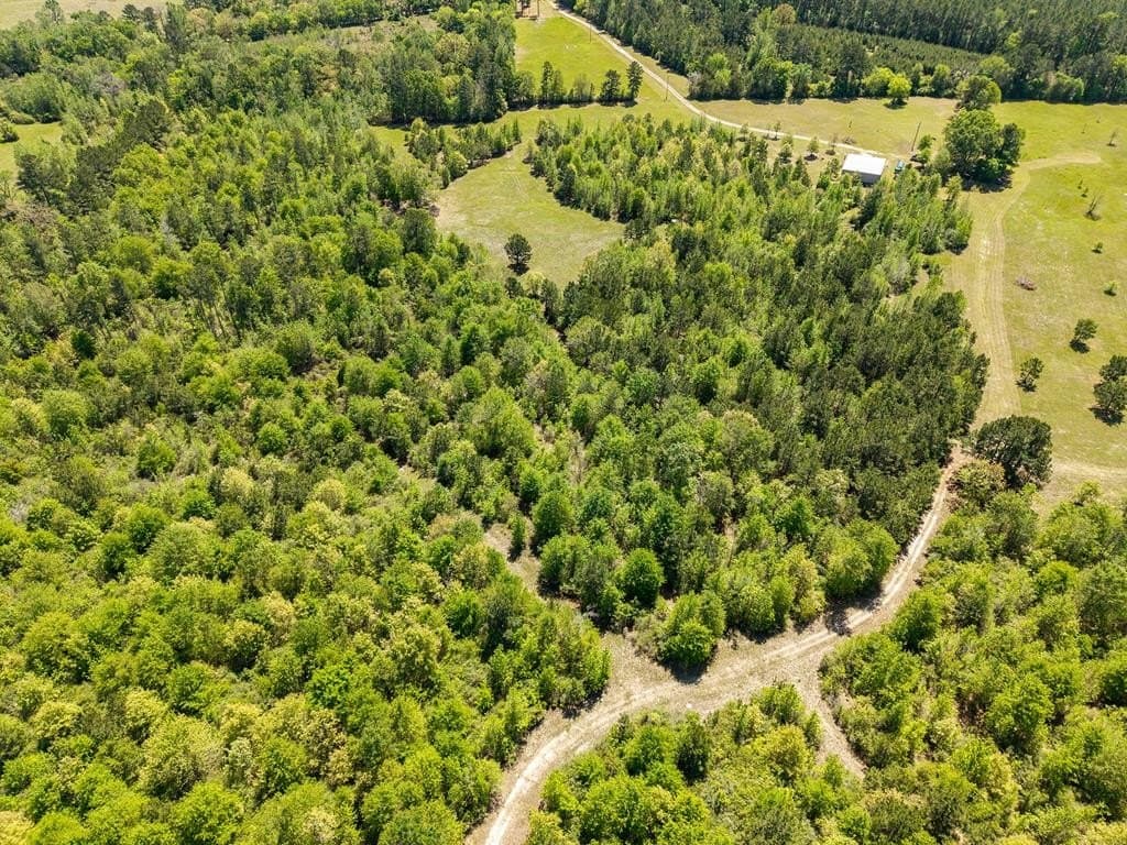 64.19 acres in Texas County - photo 22