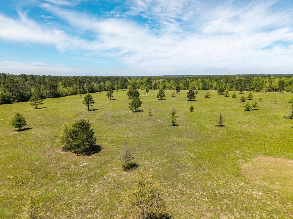64.19 acres in Texas County - photo 23