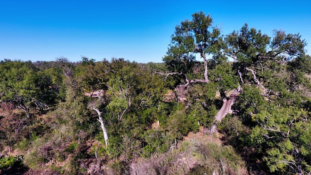 10 acres in Llano County - photo 49