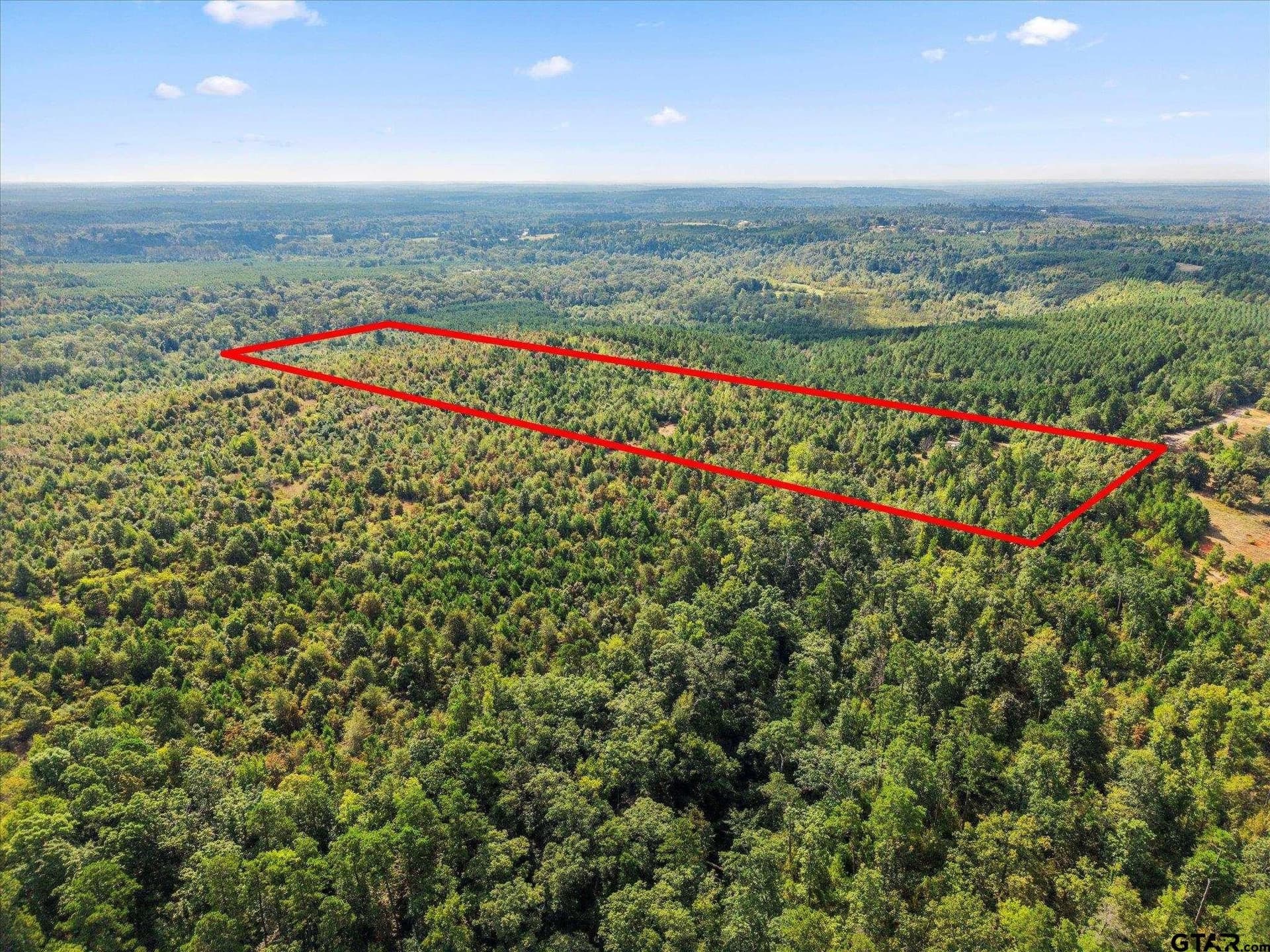 24.73 acres in Cass County gallery image 4