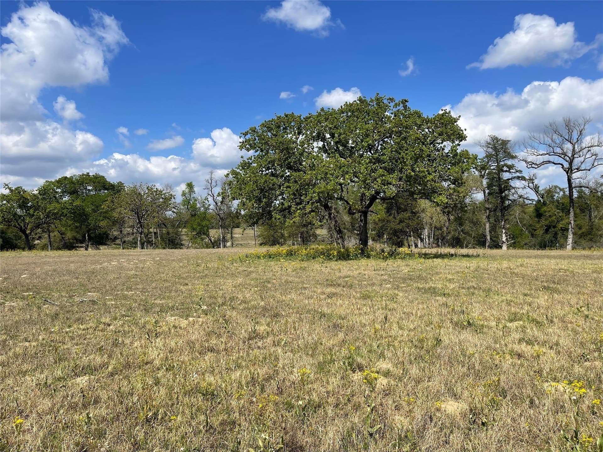 5.01 acres in Leon County - photo 10