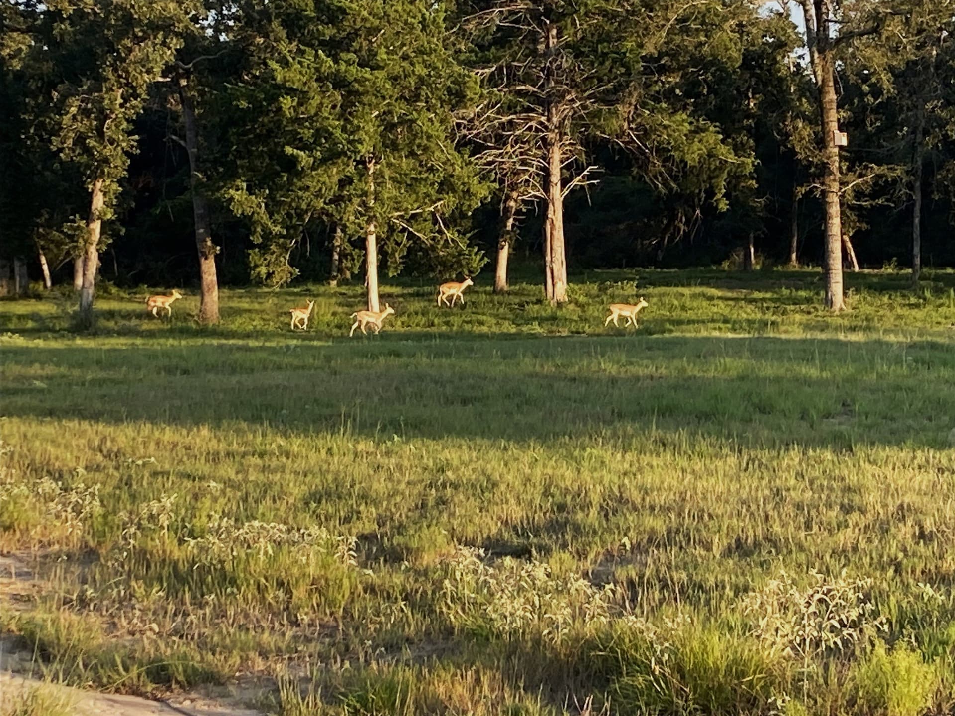 5.01 acres in Leon County - photo 30