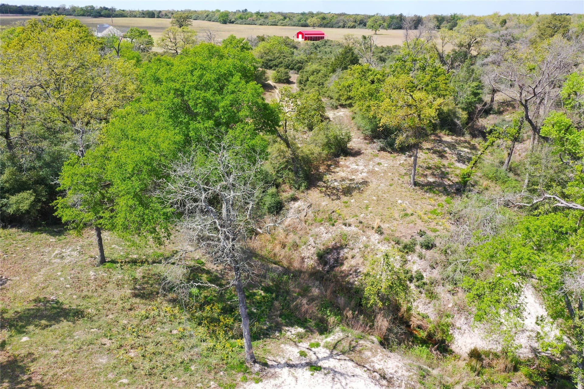 5.01 acres in Leon County - photo 8