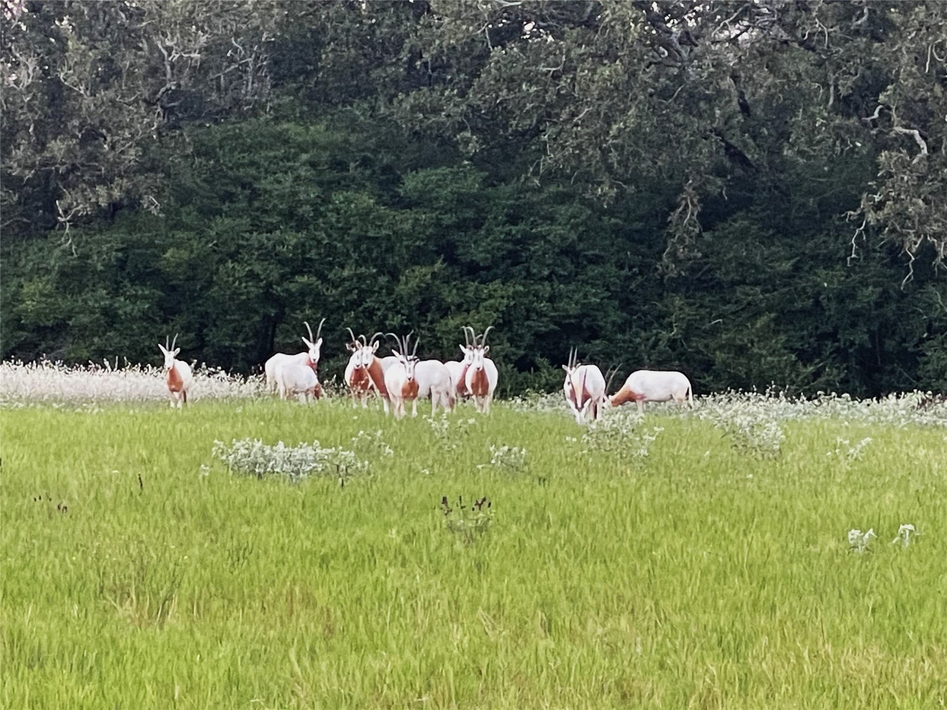 5.01 acres in Leon County - photo 16