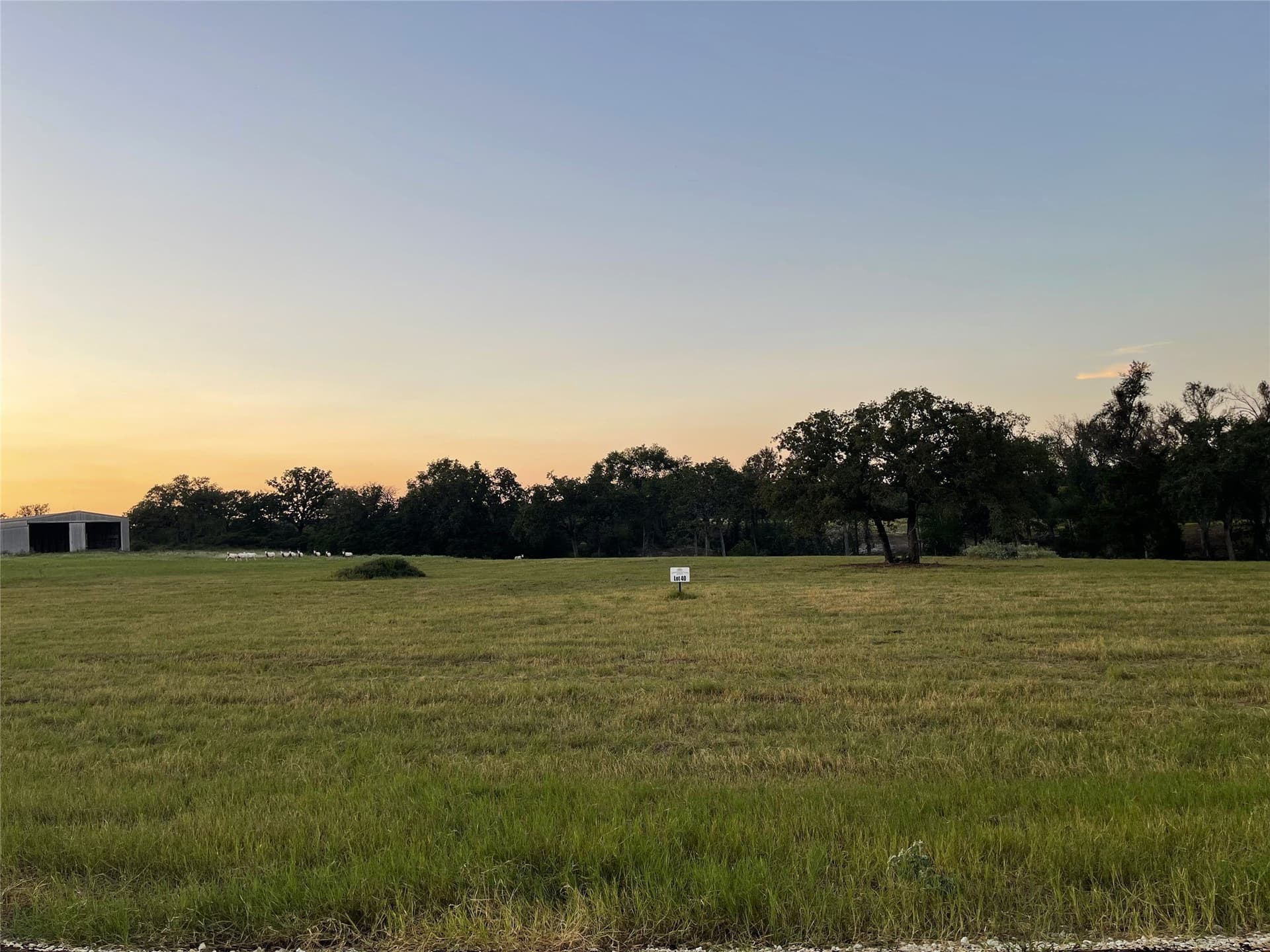 5.01 acres in Leon County - photo 20