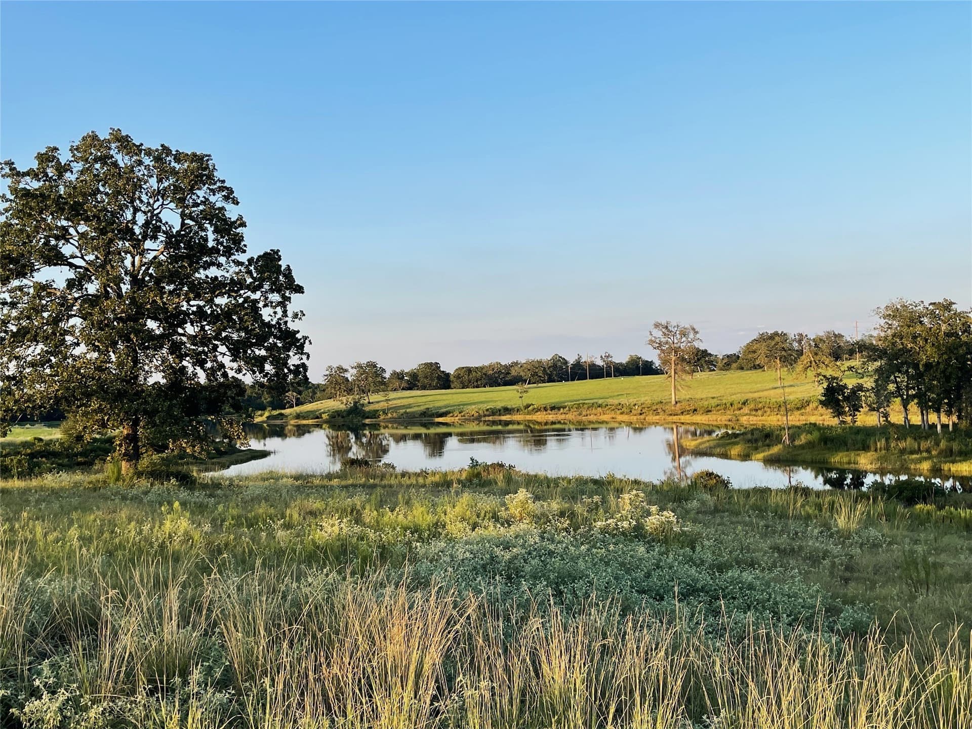 5.01 acres in Leon County - photo 19