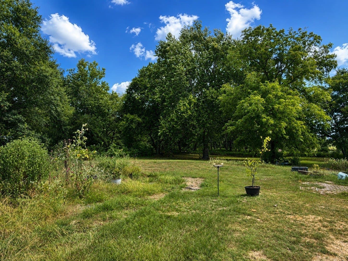 1 acres in Lamar County - photo 3