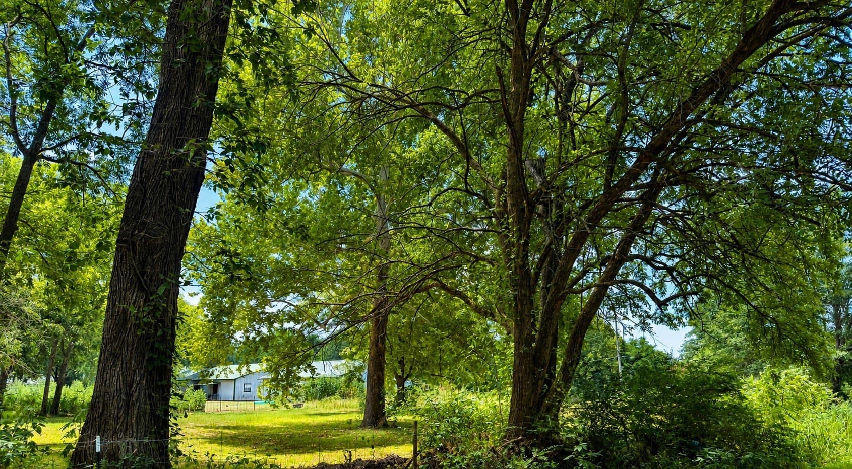 1 acres in Lamar County