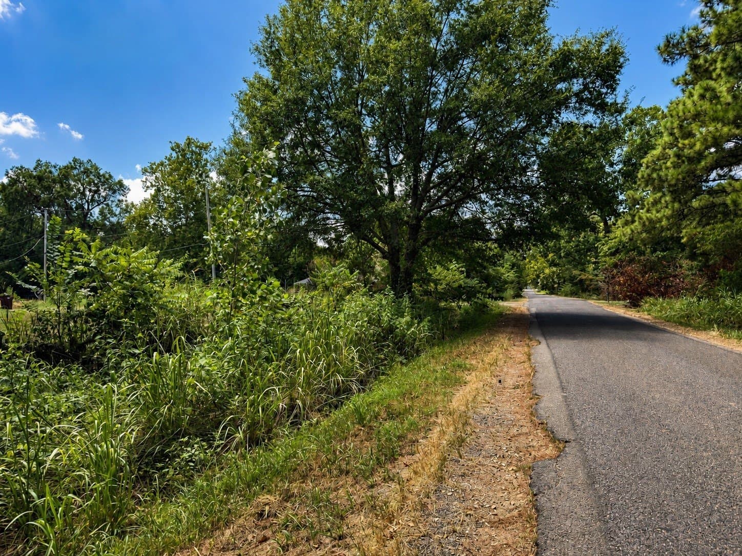 1 acres in Lamar County - photo 2