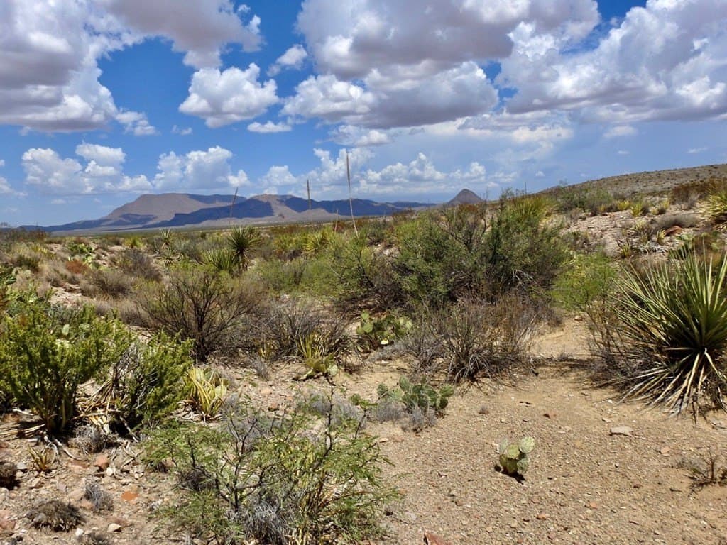 20 acres in Brewster County gallery image 4