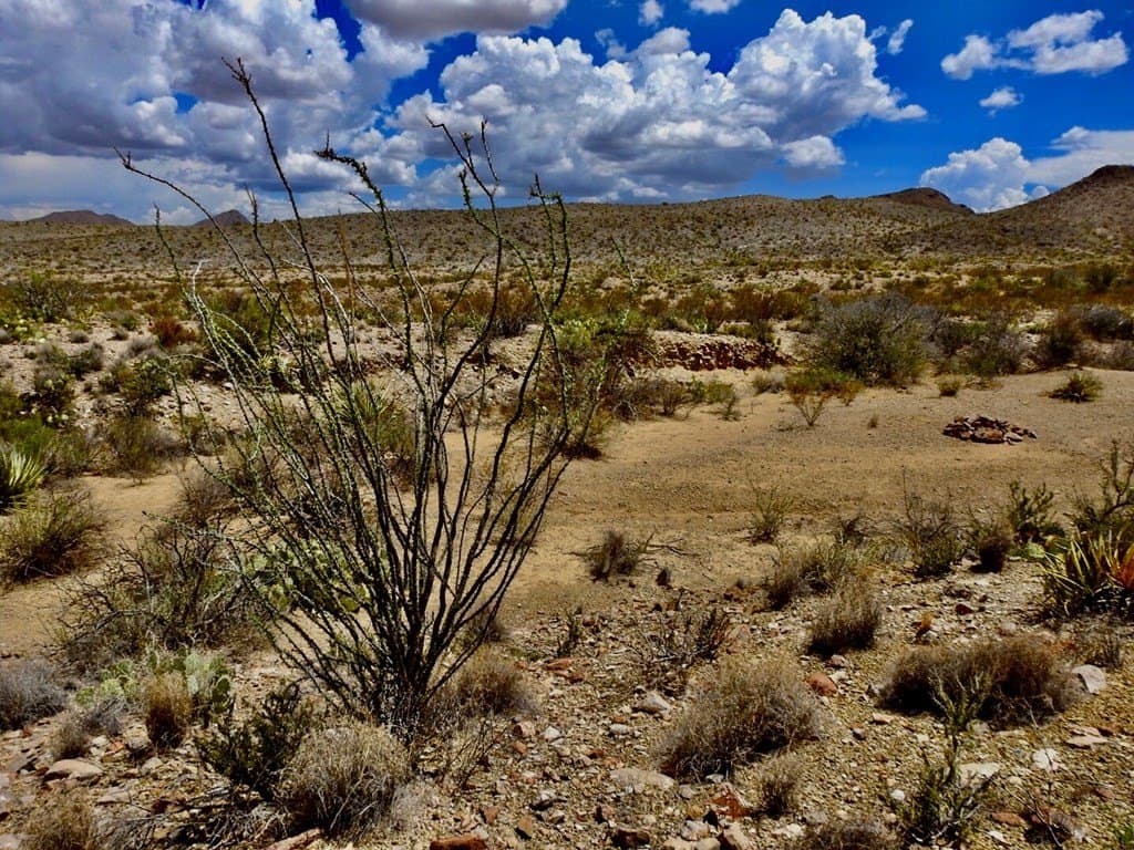 20 acres in Brewster County gallery image 3