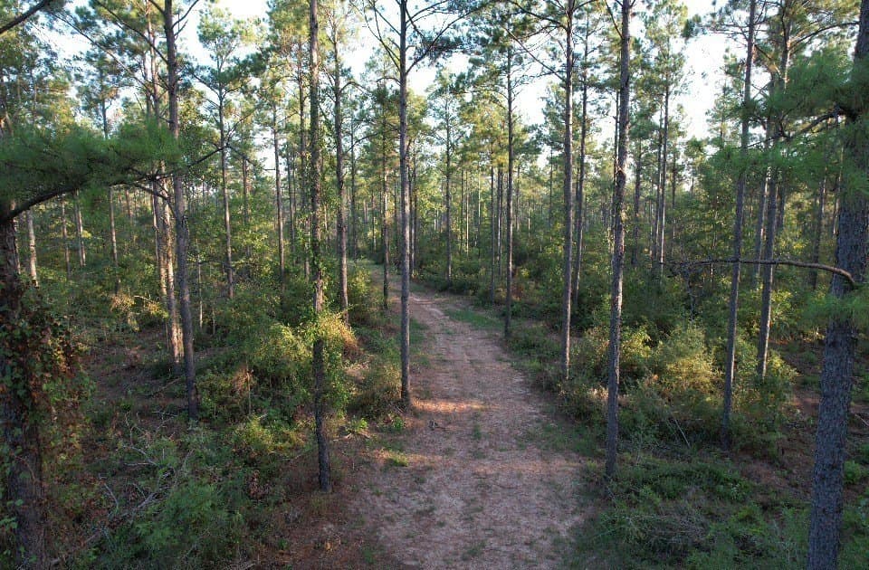 102 acres in Shelby County - photo 8