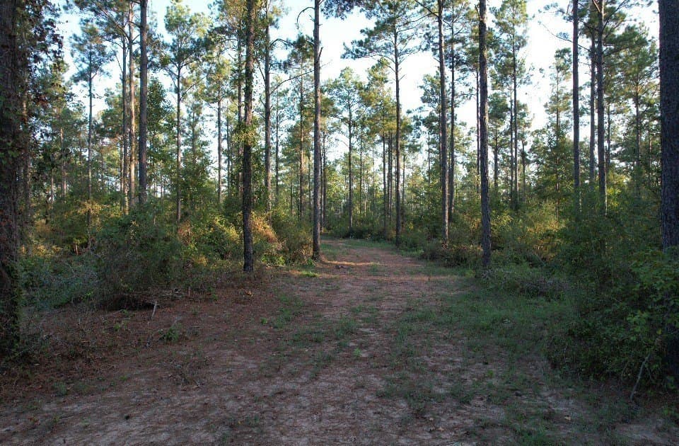 102 acres in Shelby County - photo 7