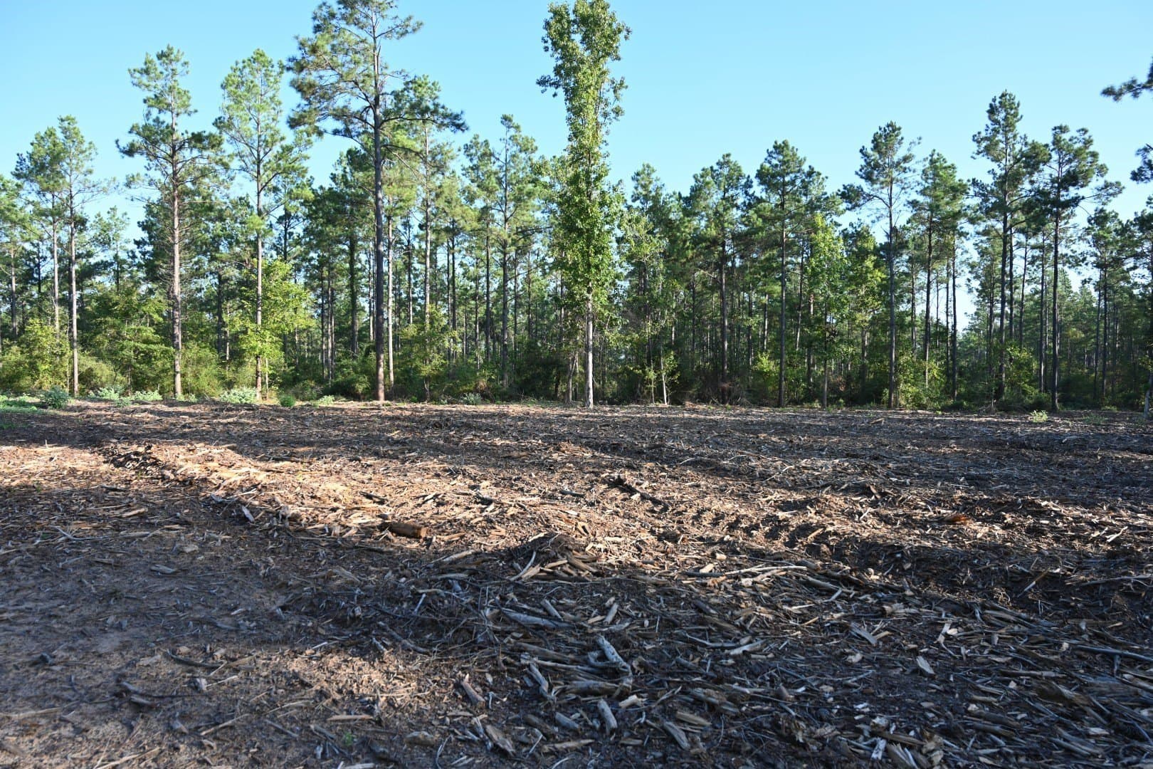 102 acres in Shelby County - photo 6
