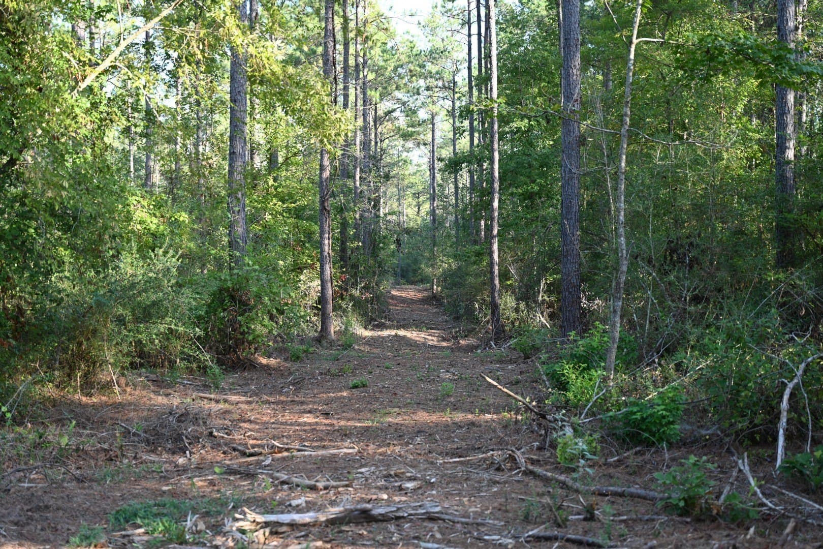 102 acres in Shelby County - photo 20