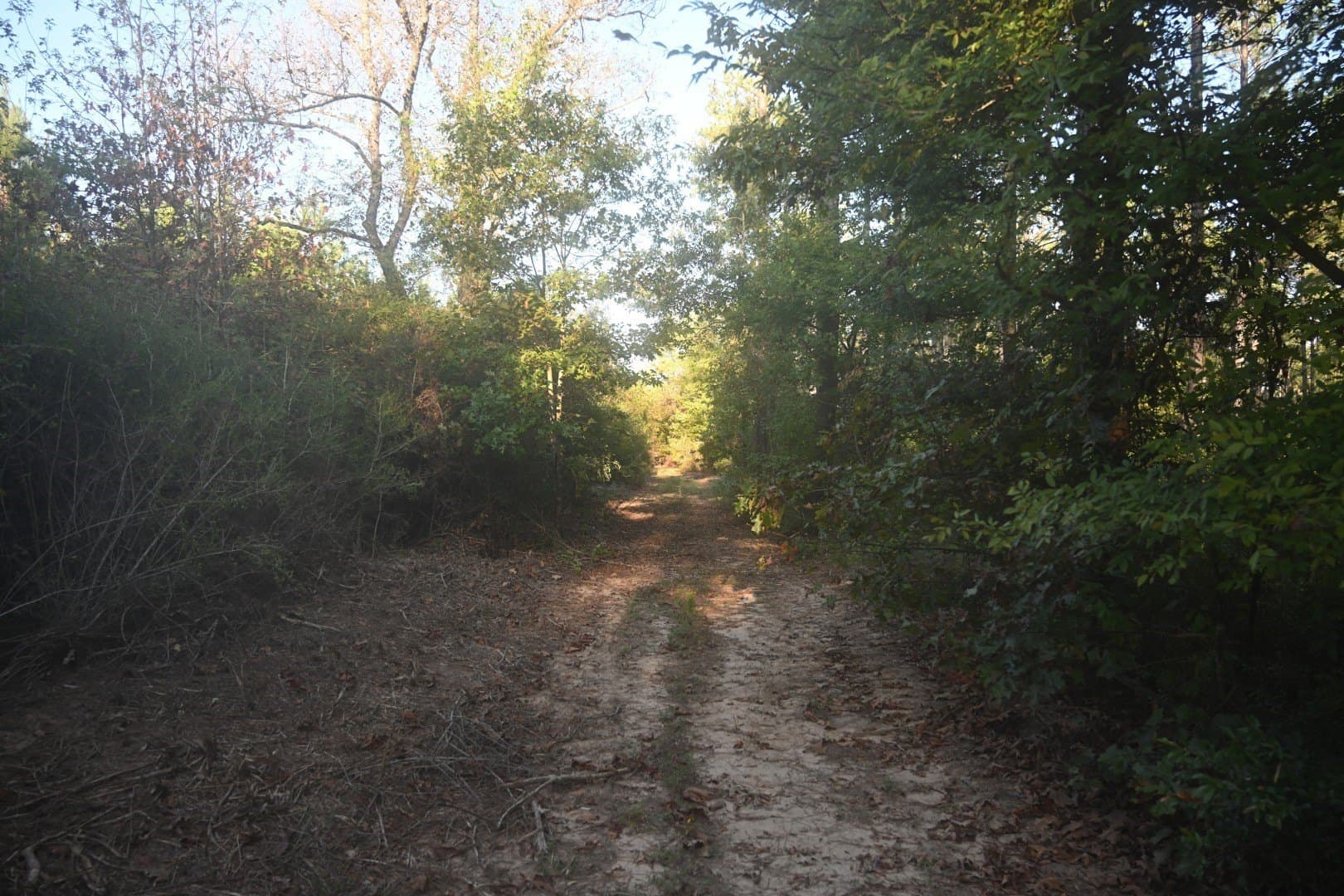 102 acres in Shelby County - photo 13