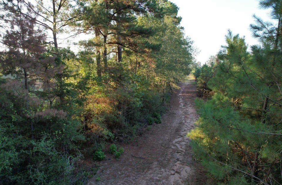102 acres in Shelby County - photo 4