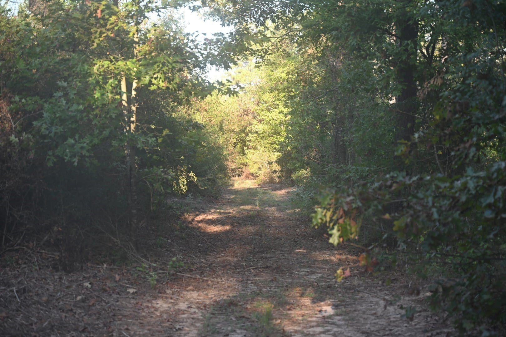 102 acres in Shelby County - photo 14