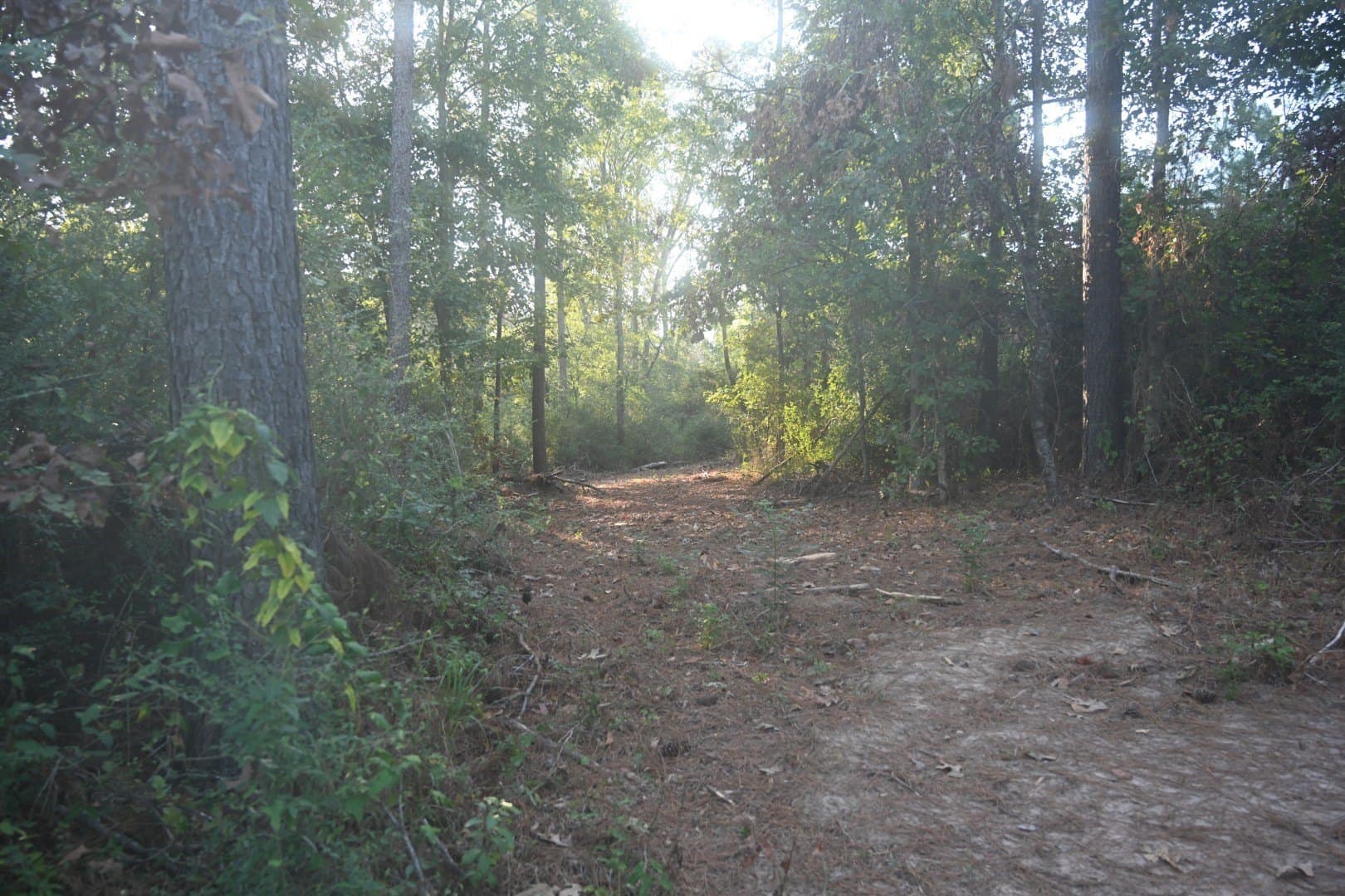 102 acres in Shelby County - photo 12