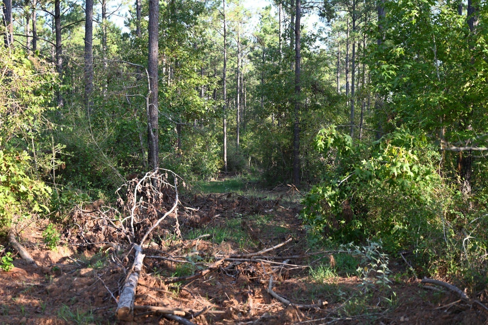 102 acres in Shelby County - photo 19