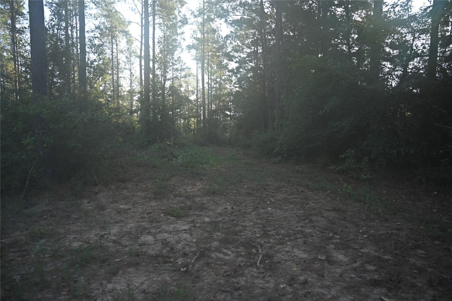 102 acres in Shelby County - photo 9